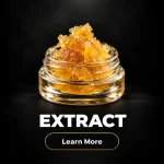 Extracts