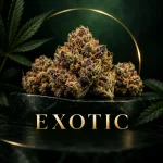 Exotic