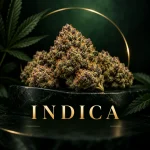 Indica