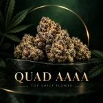 QUAD AAAA