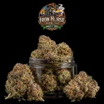 AA - Candyman Hybrid