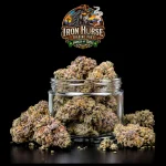 AA - Girl Scout Cookies Indica Dominant Hybrid