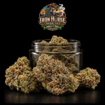 AA - Uptown Funk Indica Dominant Hybrid
