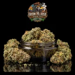 AAA - Kush Tarts Hybrid